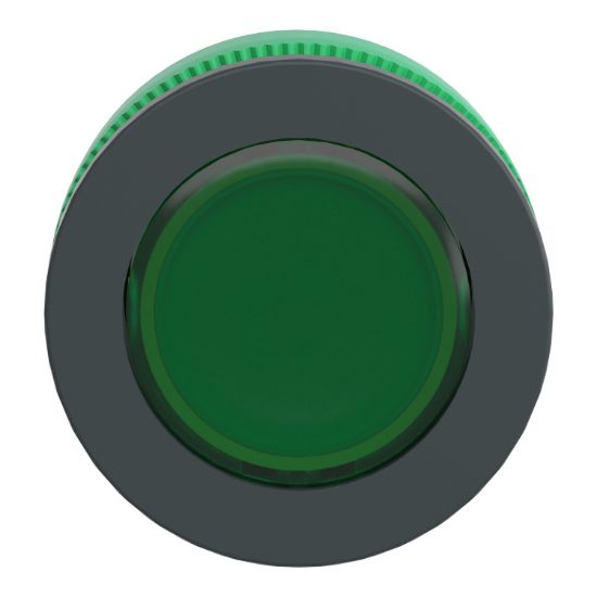 Picture of Head for pilot light, Harmony XB5, antimicrobial, plastic, green, 30mm, universal LED, plain lens