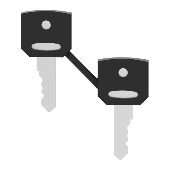 Picture of Key, Harmony XB4, Set of 2 keys, key 455 with one booted