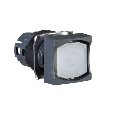 Picture of Head for illuminated push button, Harmony XB6, square pushbutton Ø 16 spring return without cap 12...24 V