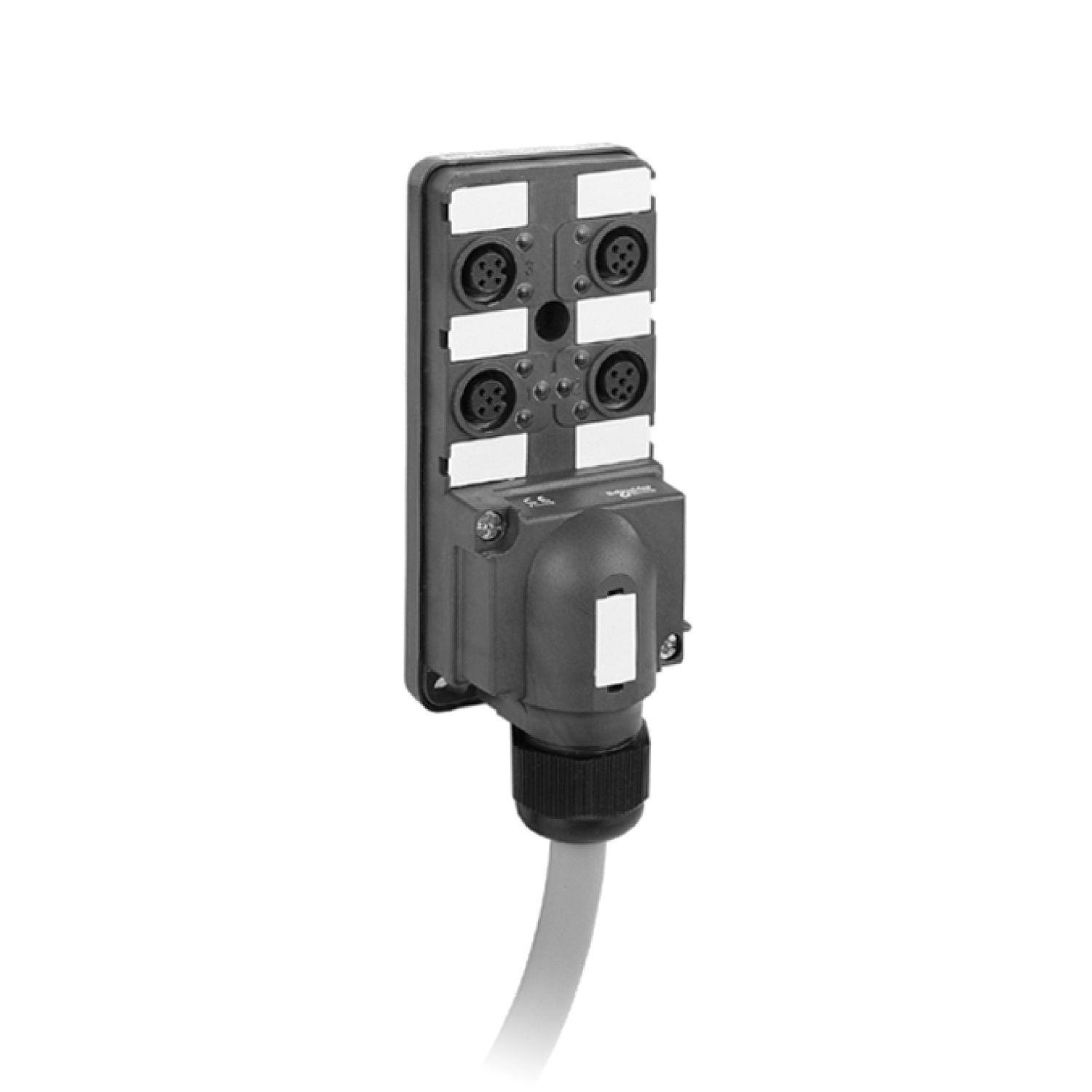 Picture of IP67 passive splitter box - cable 5 m - with 4 channels M12 connector - Led