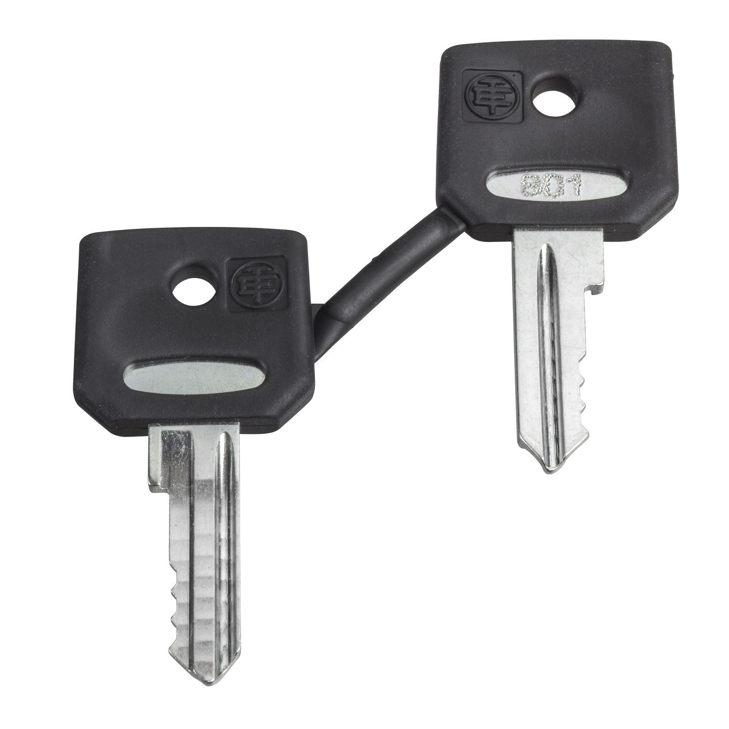 Picture of Key, Harmony XB4, emergency stop push button, key 421E, set of 2 keys