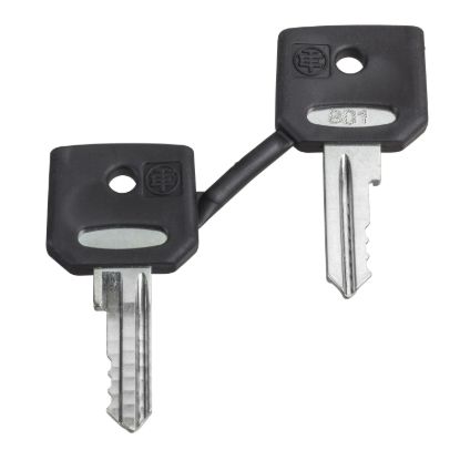 Picture of Key, Harmony XB4, emergency stop push button, key 520E, set of 2 keys
