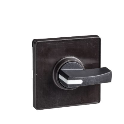 Picture of Cam switch operating head, Harmony K, 22mm, plastic, 60x60mm plate, metallic legend, black handle