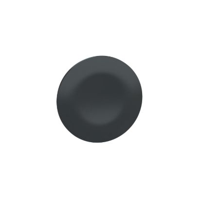 Picture of black cap unmarked for rectangular multiple-headed pushbutton 22mm