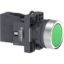 Picture of Complete push button, Easy Harmony XA2, plastic, flush, green, 22mm, push push, unmarked, 1NO