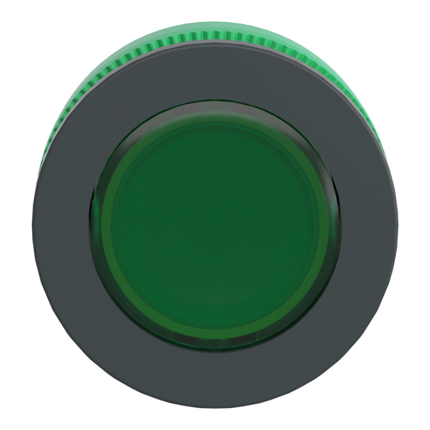 Picture of Head for pilot light, Harmony XB5, antimicrobial, plastic, green, 30mm, universal LED, plain lens
