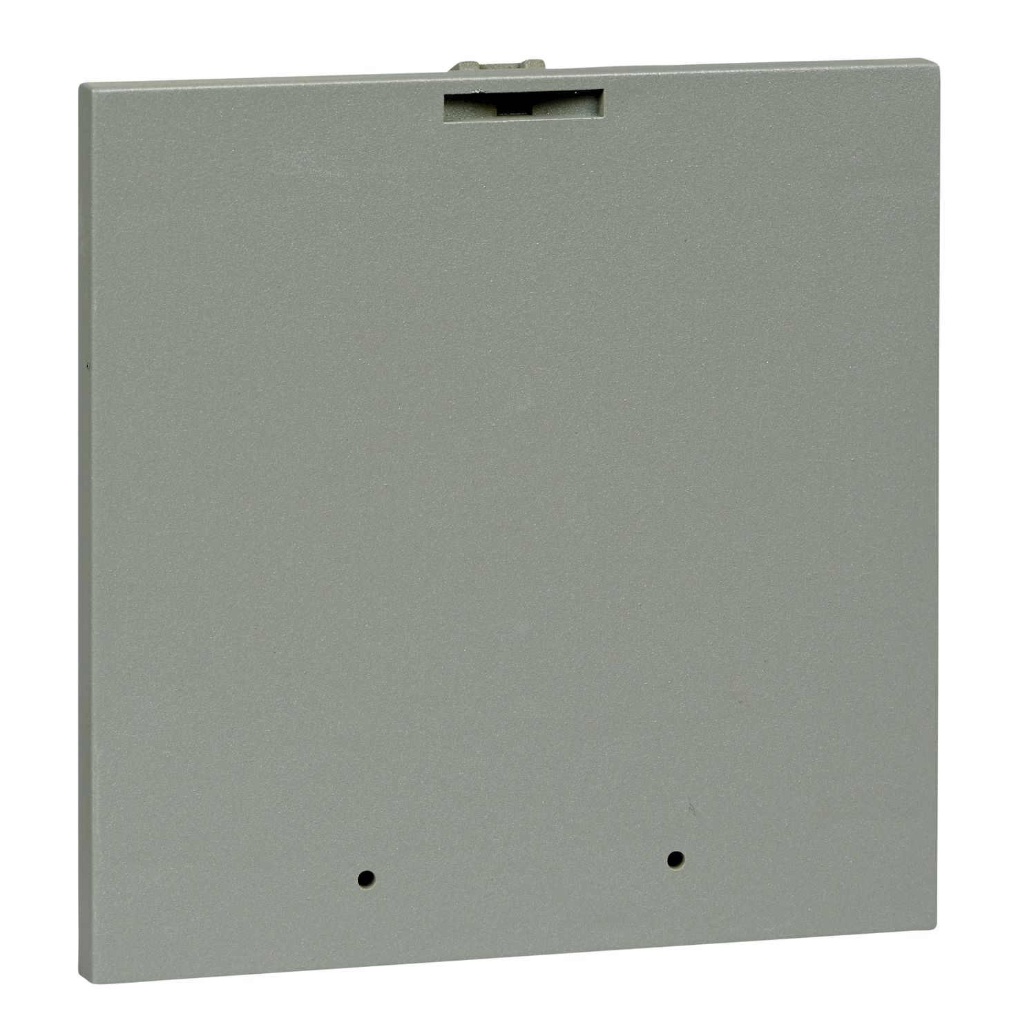 Picture of Prisma iPM L & M - Blanking plate for 96 x 96 mm opening