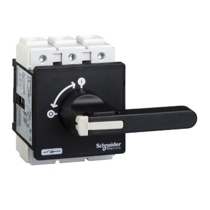 Picture of Switch disconnector, TeSys Mini-Vario, 125A, on door