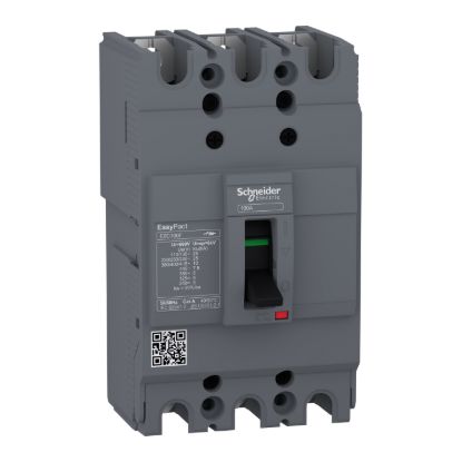 Picture of circuit breaker,EasyPact EZC100F ,TMD, 100A ,3 poles 3d
