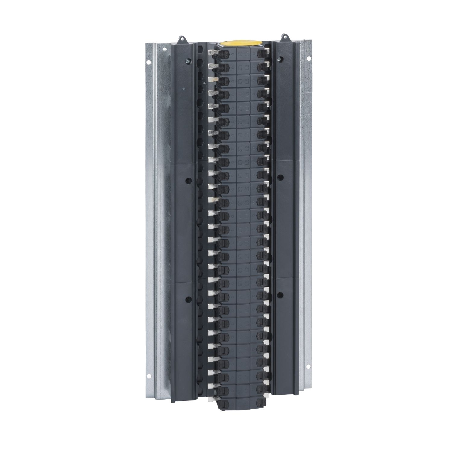 Picture of Panel Fixing Pan Assembly, Acti9, 18 ways TP&N