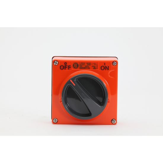 Picture of Switch, 16A, 250V, 1-Pole, Resistant Orange