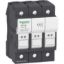Picture of Fuse carrier, TeSys DF, 3P, 32A, 690VAC, fuse size 10x38mm