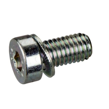 Picture of M8 screw, L16 with washer