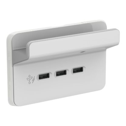 Picture of USB Charging Station Skin with Shelf, Clipsal Iconic, 3 Gang, Horizontal Mount