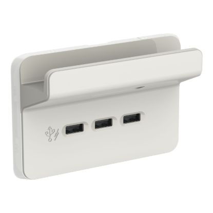 Picture of USB Charging Station Skin with Shelf, Clipsal Iconic, 3 Gang, Horizontal Mount