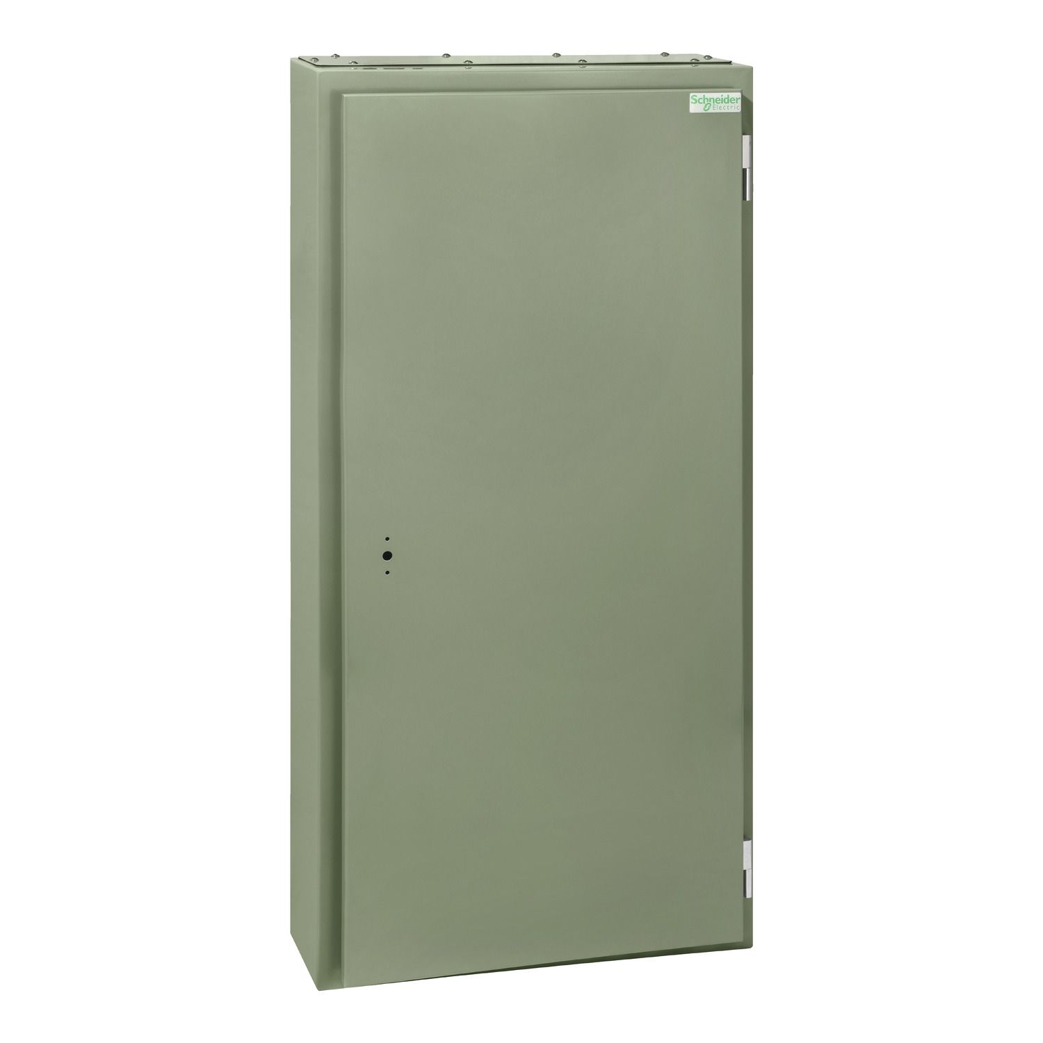 Picture of MD Encapsulated distribution board, Acti9, 72 poles, 250A main switch, 18mm, IP56, grey