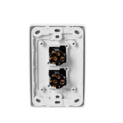 Picture of Flush Switch, 2000 Series, 2 Gang, 250VAC, 10A, Standard, Vertical