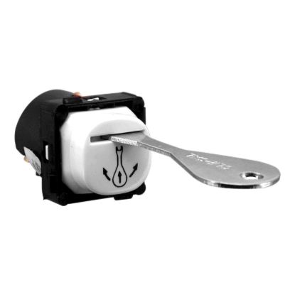 Picture of Toggle Key, 30 Series, Actuated, 250V, 20A, 1 Way/2 Way