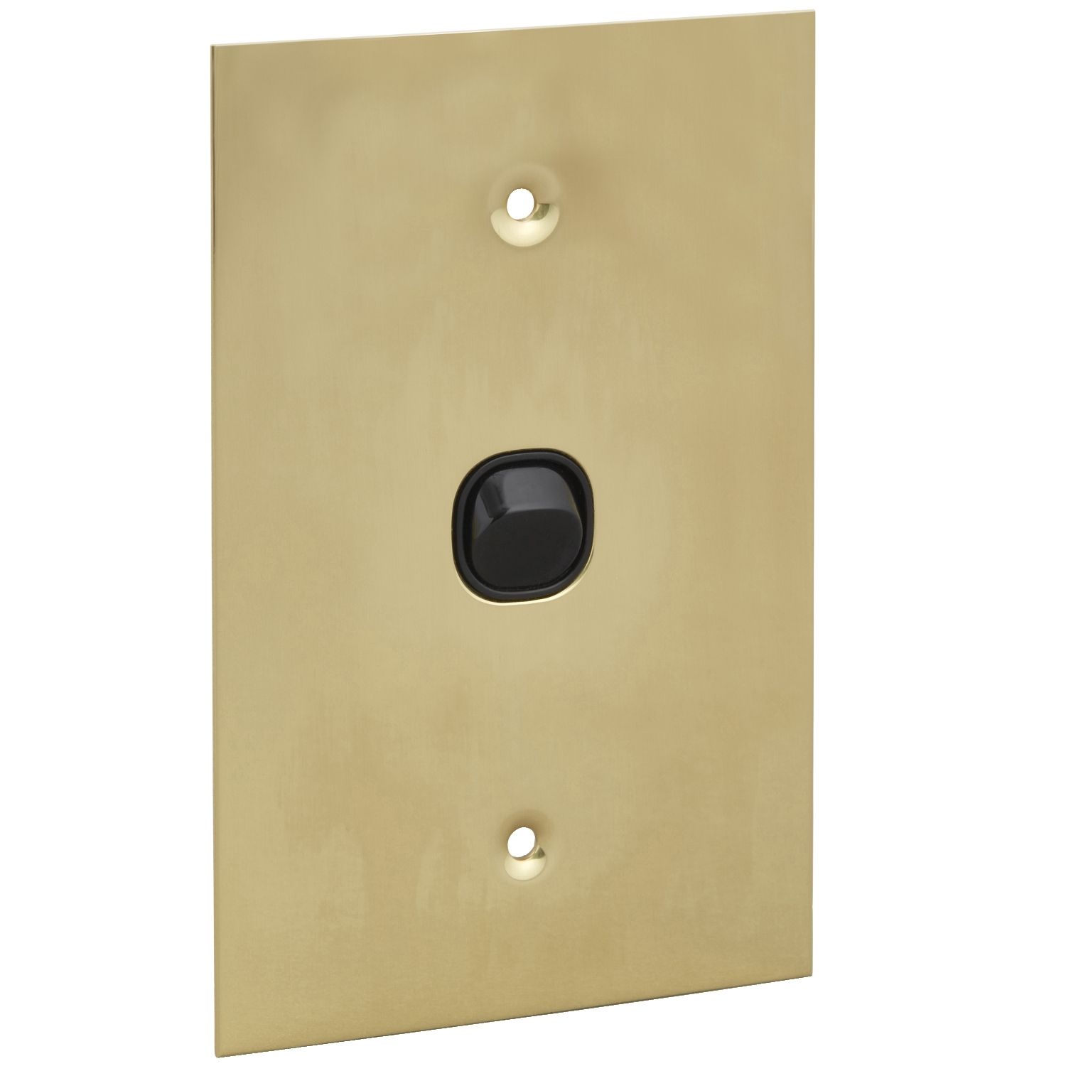 Picture of Flush Switch, Metal Plate Series, 1 Gang, 250VAC, 10A, Range, BBSL Style, Standard, Vert