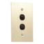 Picture of Flush Switch, Metal Plate Series, 2 Gang, 250VAC, 10A, Range, BBSL Style, Standard, Vert