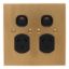 Picture of Twin Switch Socket Outlet, Metal Plate Series, 250V, 10A, BB Style, Flat Plate, Vertical