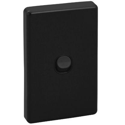 Picture of Flush Switch, Classic C2000 Series, 1 Gang, 250VAC, 10A, Vertical, IP66