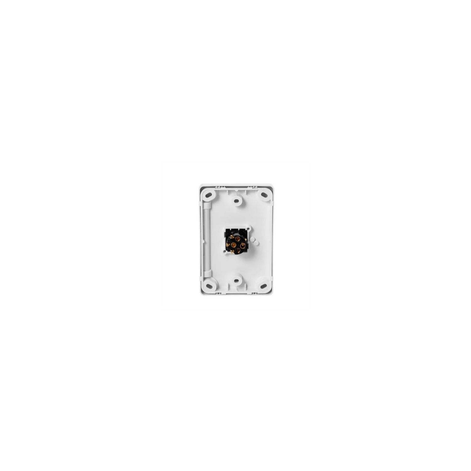 Picture of Flush Switch, Classic C2000 Series, 1 Gang, 250VAC, 10A, Standard, Vertical
