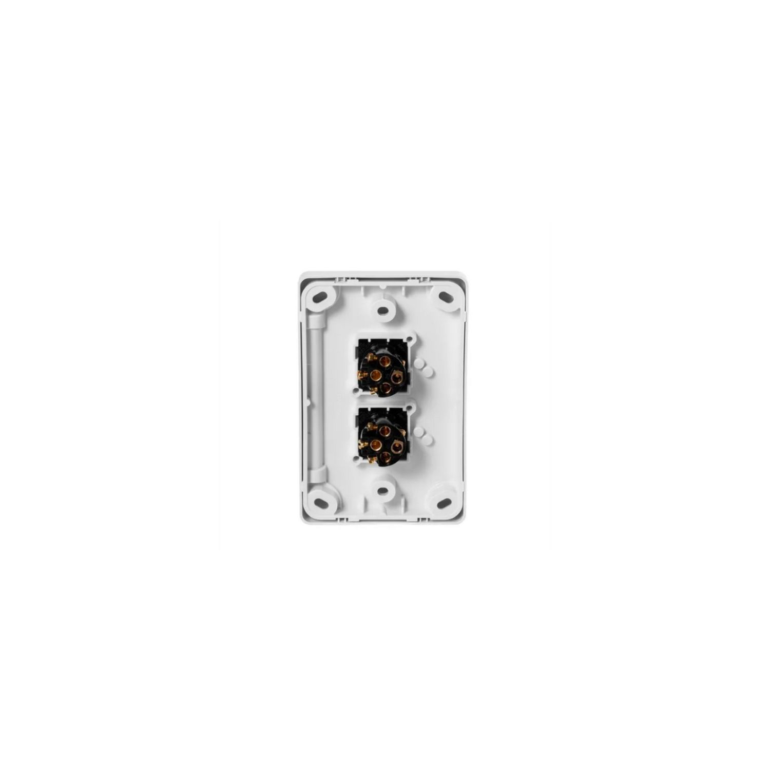 Picture of Flush Switch, Classic C2000 Series, 2 Gang, 250VAC, 10A, Standard, Vertical