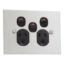 Picture of Twin Switch Socket Outlet, Metal Plate Series, 250V, 10A, BSL Style, Removable Extra Switch