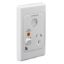 Picture of Single Switch Socket Outlet, Medilec, 250V, 10A, Vertical