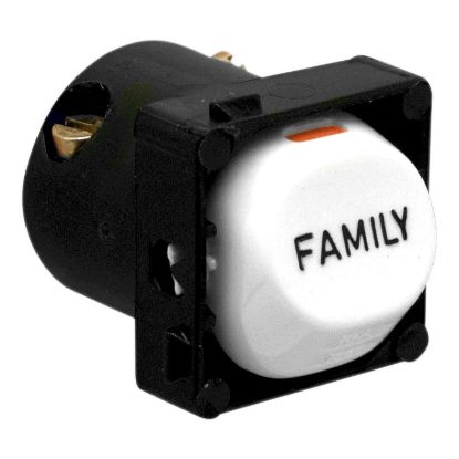 Picture of Switch Mechanism, 30 Series, 10A, Marked FAMILY