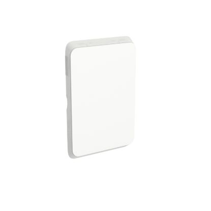 Picture of Blank Switch Plate, Clipsal Iconic, Horizontal/Vertical Mount