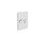 Picture of Single Switch Power Point, Clipsal Iconic, Vertical Mount, 250V, 10A