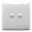 Picture of Flush Switch, Standard Series, 2 Gang, 250VAC, 10A, Large Format, Vertical