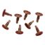 Picture of Washer Head, Clipsal - General Accessories, Self Drilling, 8 x 12mm, Bag 100