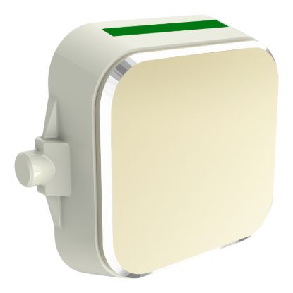 Picture of Styl Rocker, Clipsal Iconic, 32A