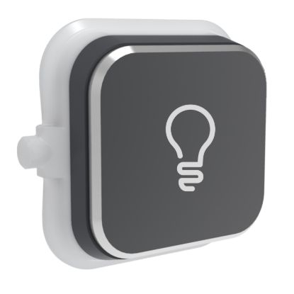 Picture of Styl Rocker, Clipsal Iconic, LIGHT