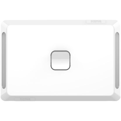 Picture of Flush Switch, Pro Series, Horizontal Mount, 1 Gang, 1-Way/2-Way, 230/240V 20A, 16AX