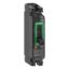 Picture of Circuit breaker, ComPacT NSX100M AC/DC, 40kA/240VAC, 1 pole, TMD trip unit 100A