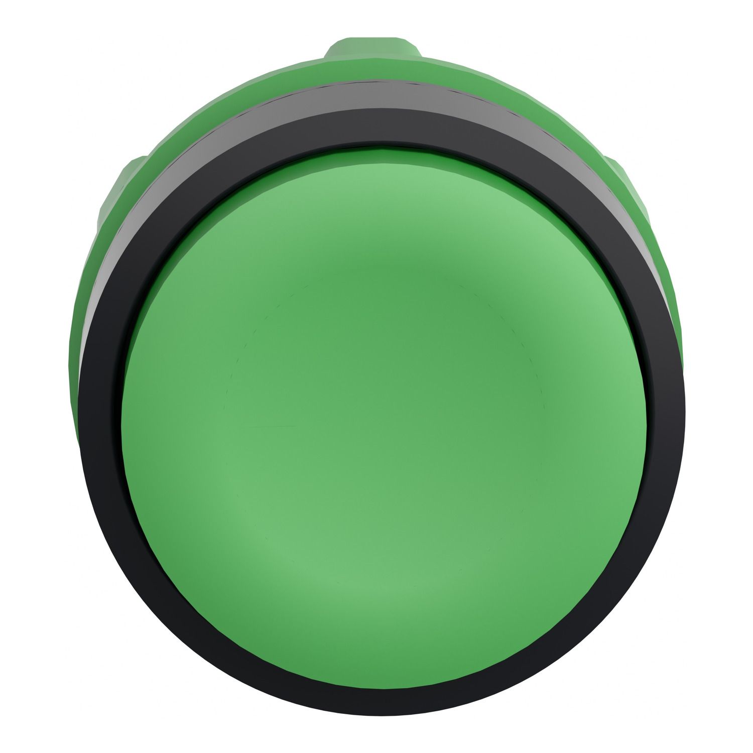 Picture of Push button head, Harmony XB5, plastic, projecting, green, 22mm, spring return, unmarked