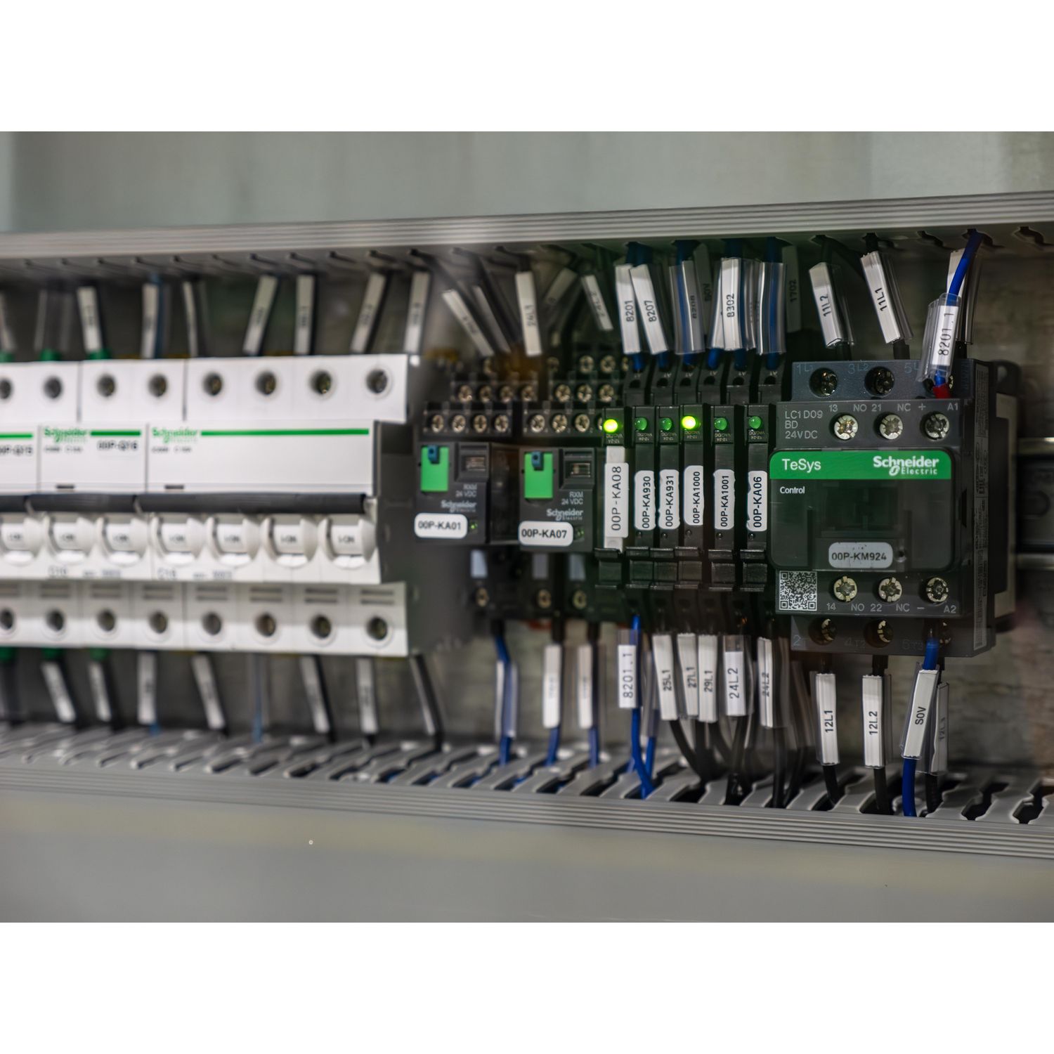 Picture of Socket equipped with LED and protection circuit, Harmony Electromechanical Relays, for RSL1 relays, srew connector, 12...24V AC DC