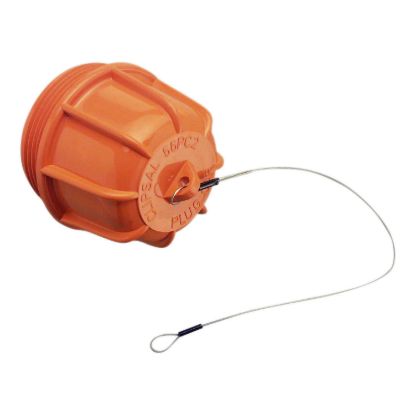 Picture of CAP PROTECTIVE 1PH PLUG
