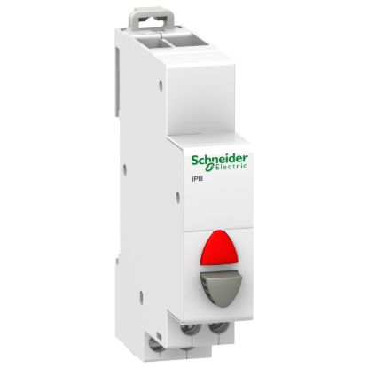 Picture of 1NC single push button grey - indicator light red 12-48Vac/dc, Acti9, 1NC grey, indicator light red 12-48Vac/dc