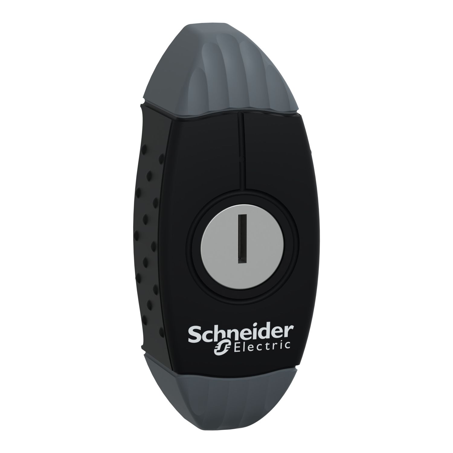 Picture of Key handle with key 1242E, Spacial S3D, for Spacial S3D enclosure