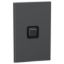 Picture of Switch, Iconic, Assembled, vertical, 1_2way, 1 gang, 10AX, 230/240V, silver shadow
