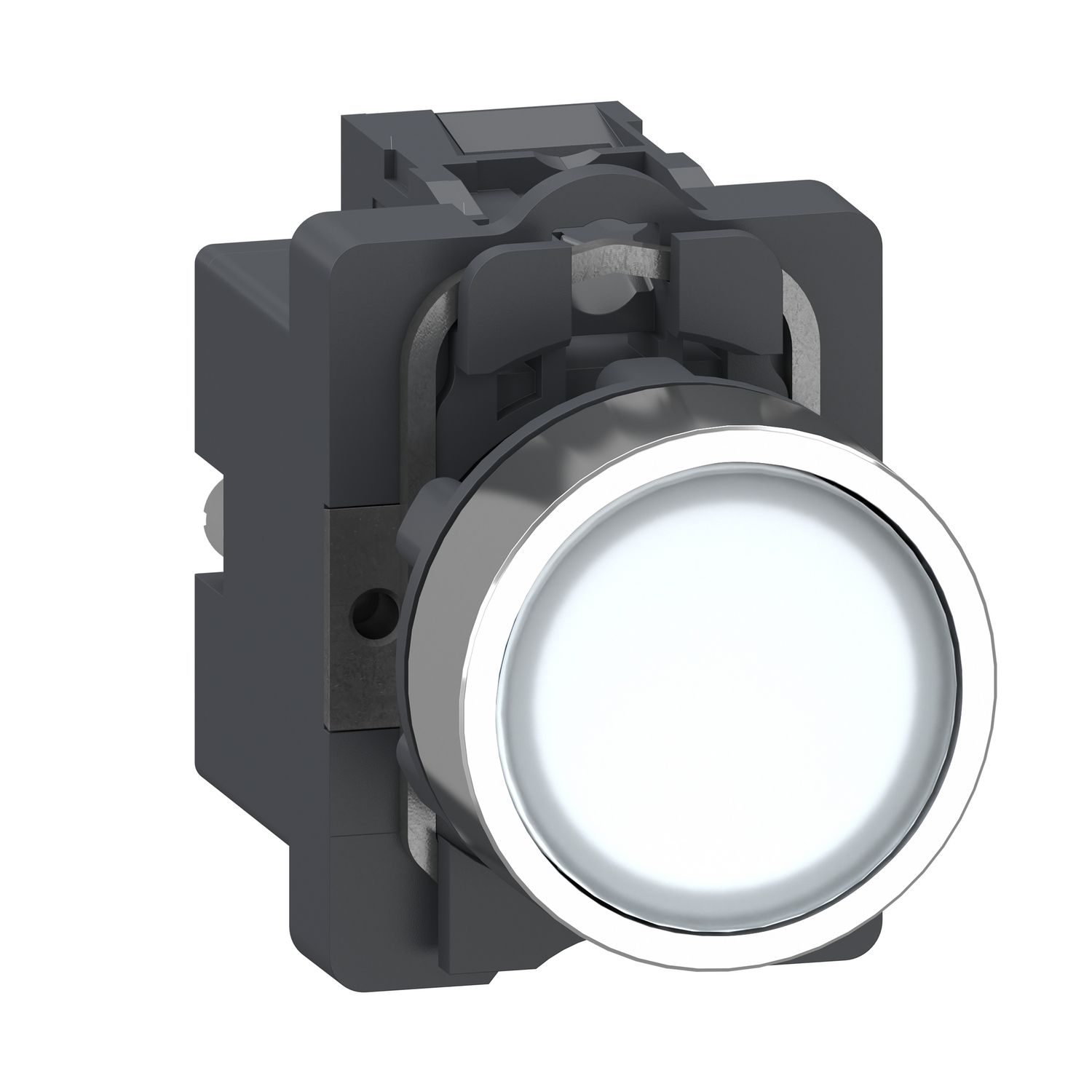 Picture of Complete illuminated push button, Easy Harmony XA2, plastic head, 22mm, white, 1NO, AC 380V, spring return