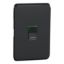 Picture of Cooker Switch Cover Frame, Clipsal Iconic, 15A