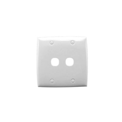 Picture of Flush Plate, Standard Series, 2 Gang, Large Format
