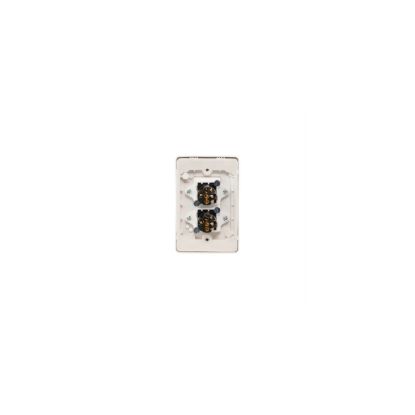 Picture of Flush Switch, Classic C2000 Series, 2 Gang, 250VAC, 10A, Vertical, IP66