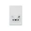 Picture of Universal Shaver Outlet, Classic C2000 Series